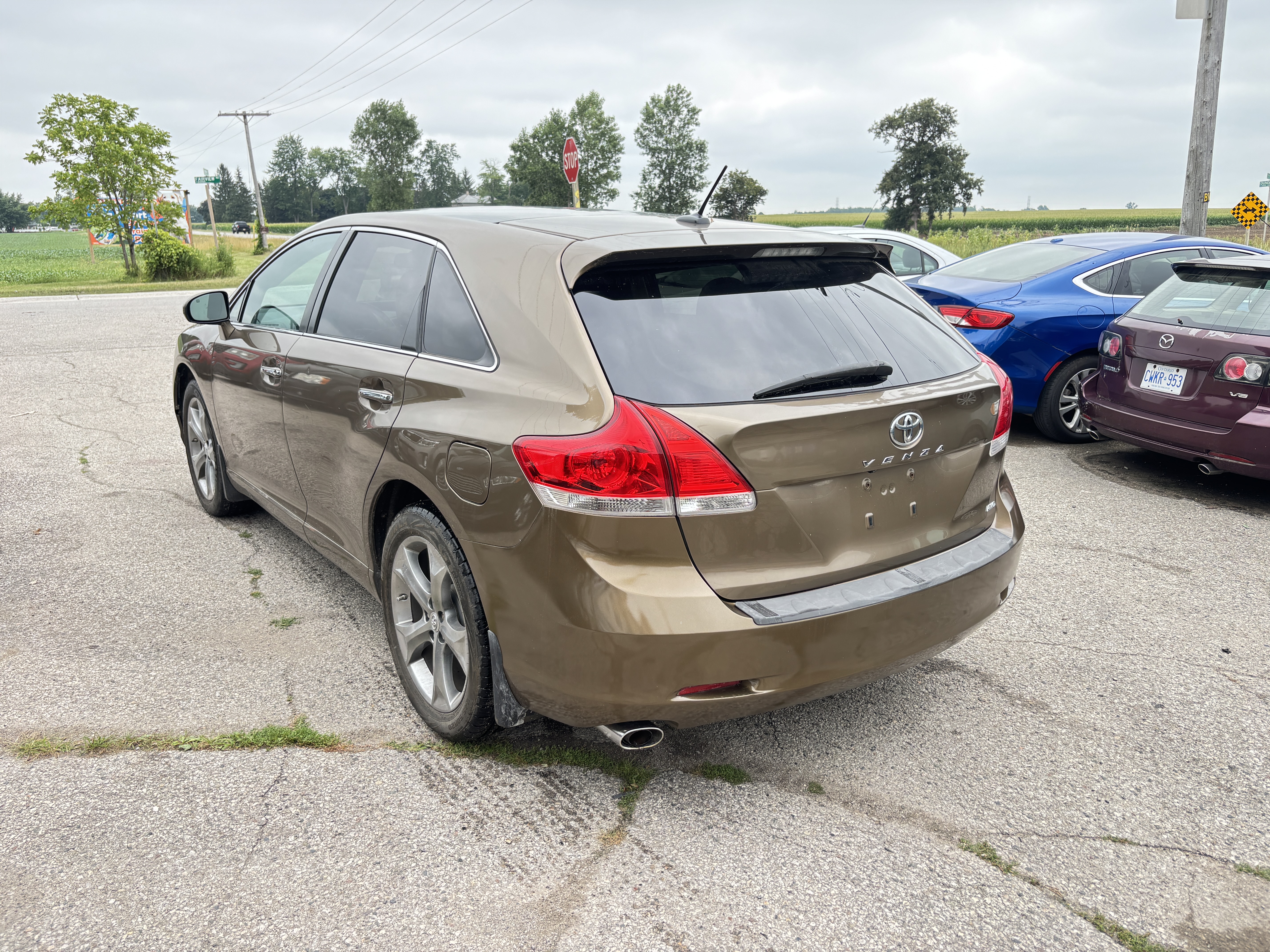 
								2010 Toyota Venza LOW KM! Safetied full									